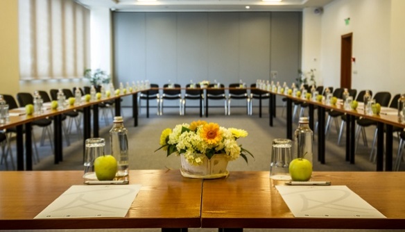Borovets Meeting room